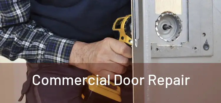  Commercial Door Repair 