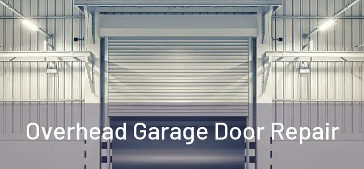 Overhead Garage Door Repair